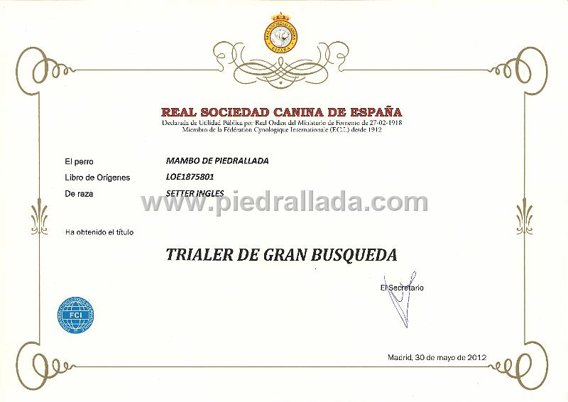 mambo trialer.jpg - El título oficial de Trialer de Gran Busca
